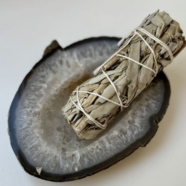 SAlvia blanca en cuenco