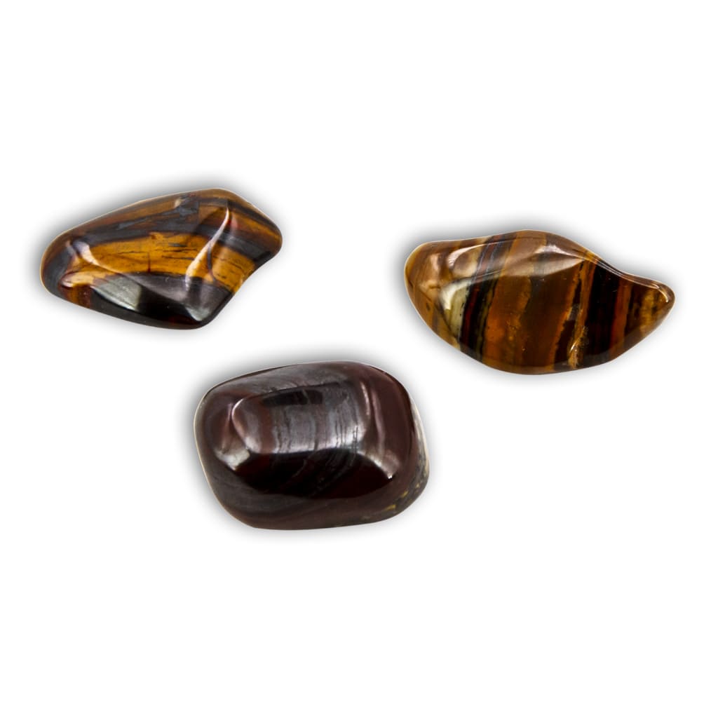 Rodado de Hierro de Tigre