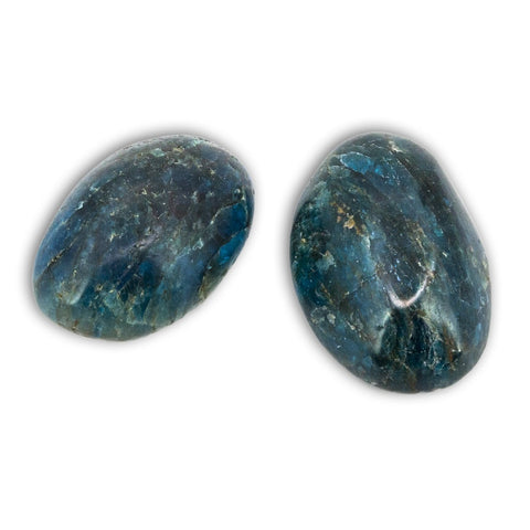 Apatito  Palm stone