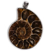 Colgante de Ammonites 