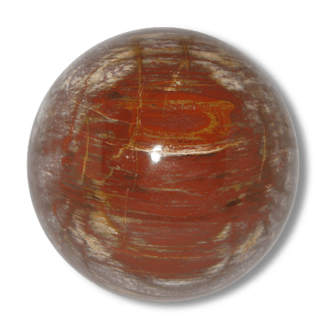 Esfera Xilópalo madera fósil