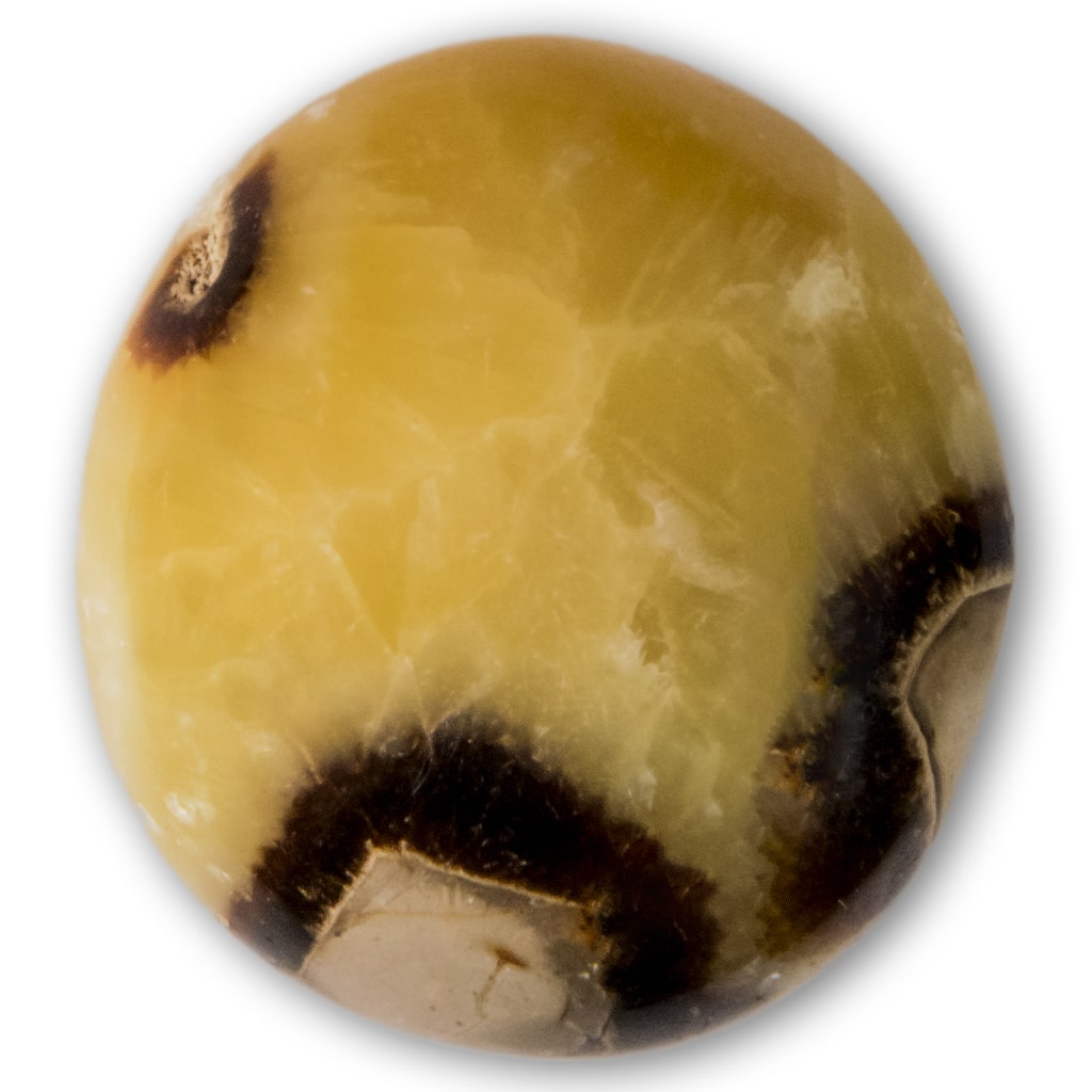 Rodado talla extra septárea