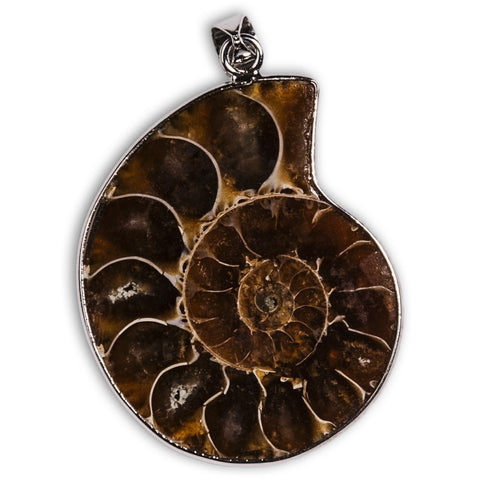 Colgante de Ammonites en Plata