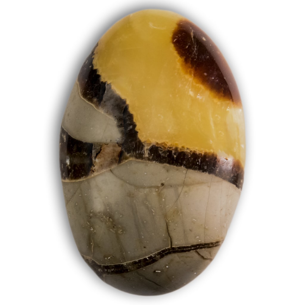 Rodado talla extra septárea