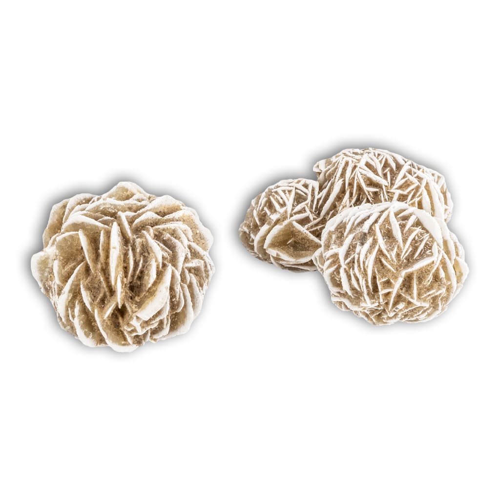 Rosa del Desierto estrella